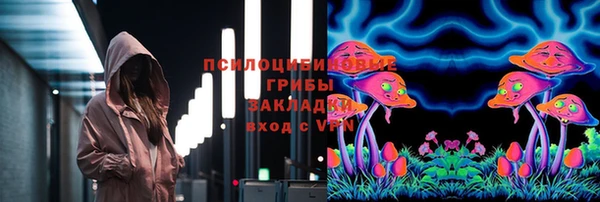 PSILOCYBIN Бронницы