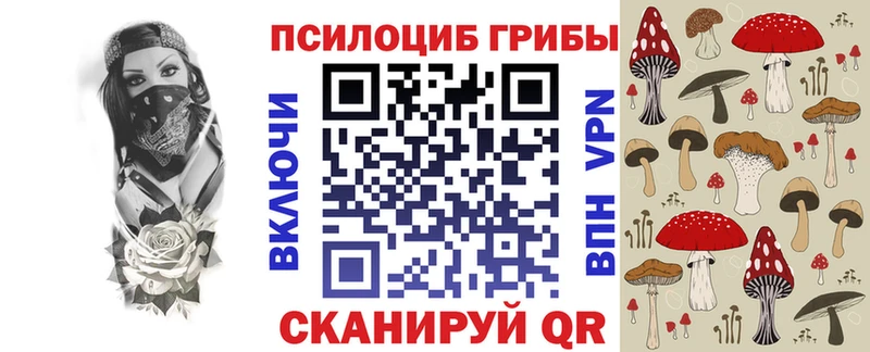 Купить где  Кирово-Чепецк  Галлюциногенные грибы GOLDEN TEACHER 